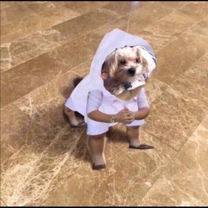 Meet your Posher, Jesse